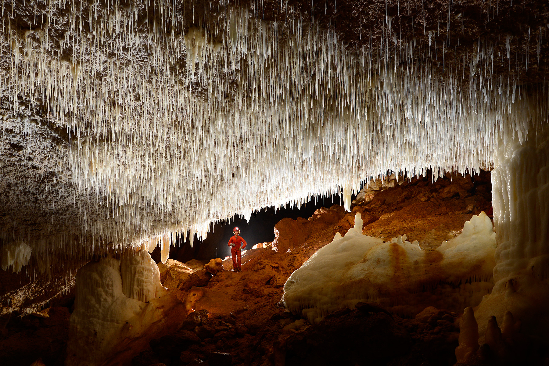 Cueva Sorbeto (Province d'Arecibo, Porto Rico)- Galerie avec plafond couvert de fistuleuse